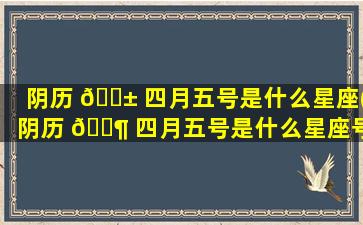 阴历 🐱 四月五号是什么星座(阴历 🐶 四月五号是什么星座号是什么星座)
